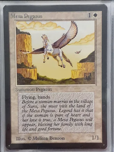 Mesapegasus