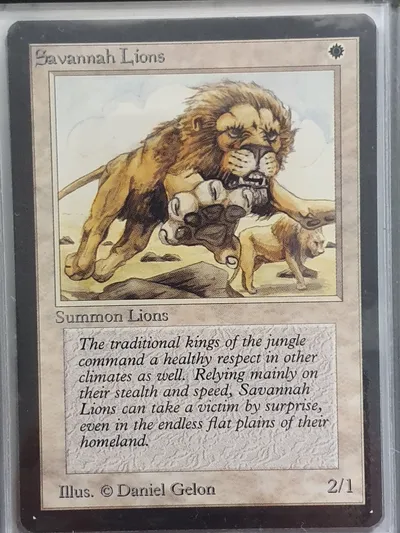 Savannahlions