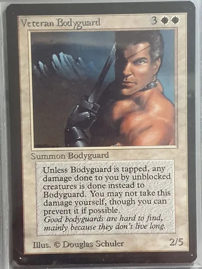 Veteranbodyguard