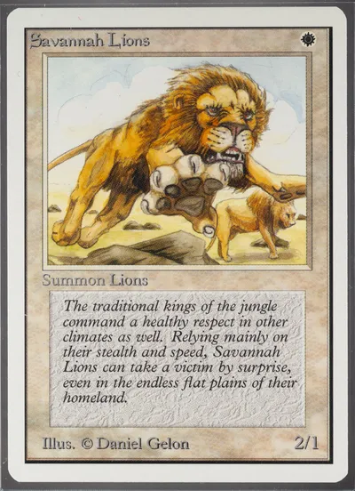 Savannah Lions