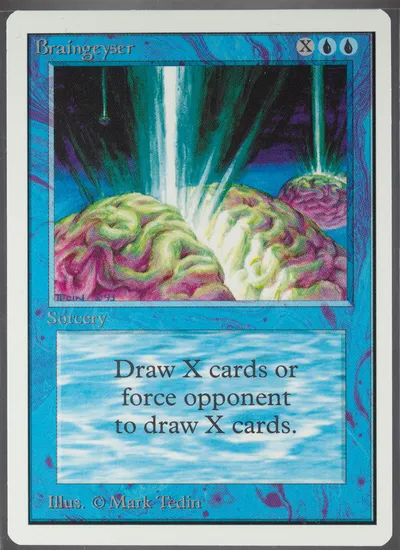 Braingeyser
