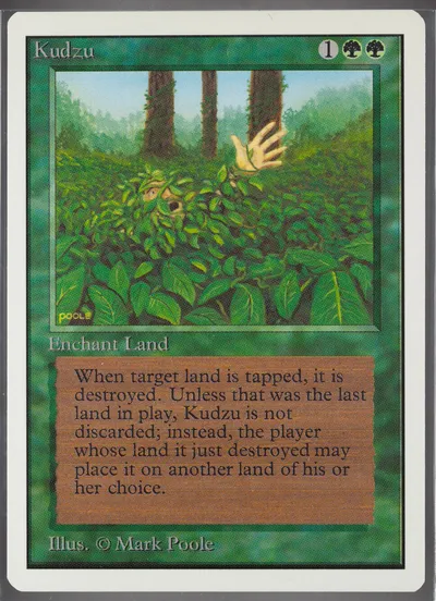 Kudzu