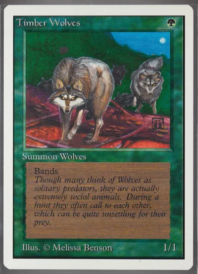 Timber Wolves