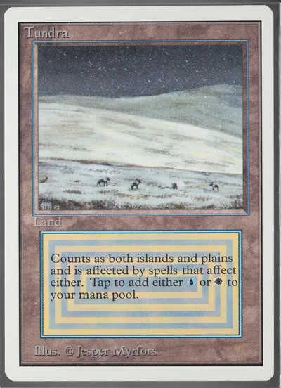Tundra