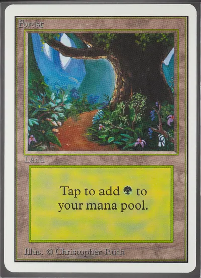 Forest
