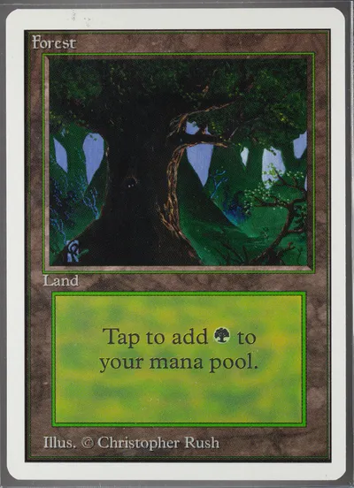 Forest